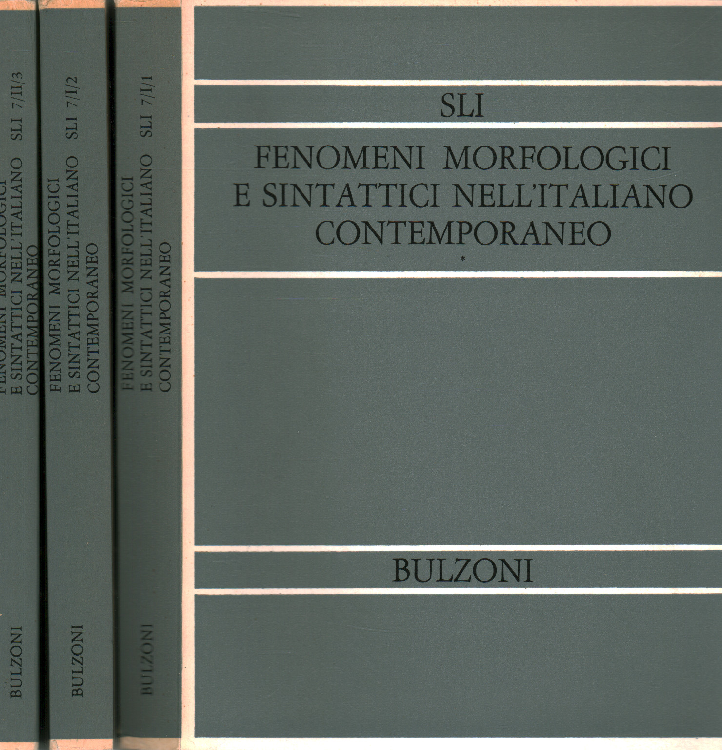 Phenomena, morphological and syntactic in Italian co, s.a.