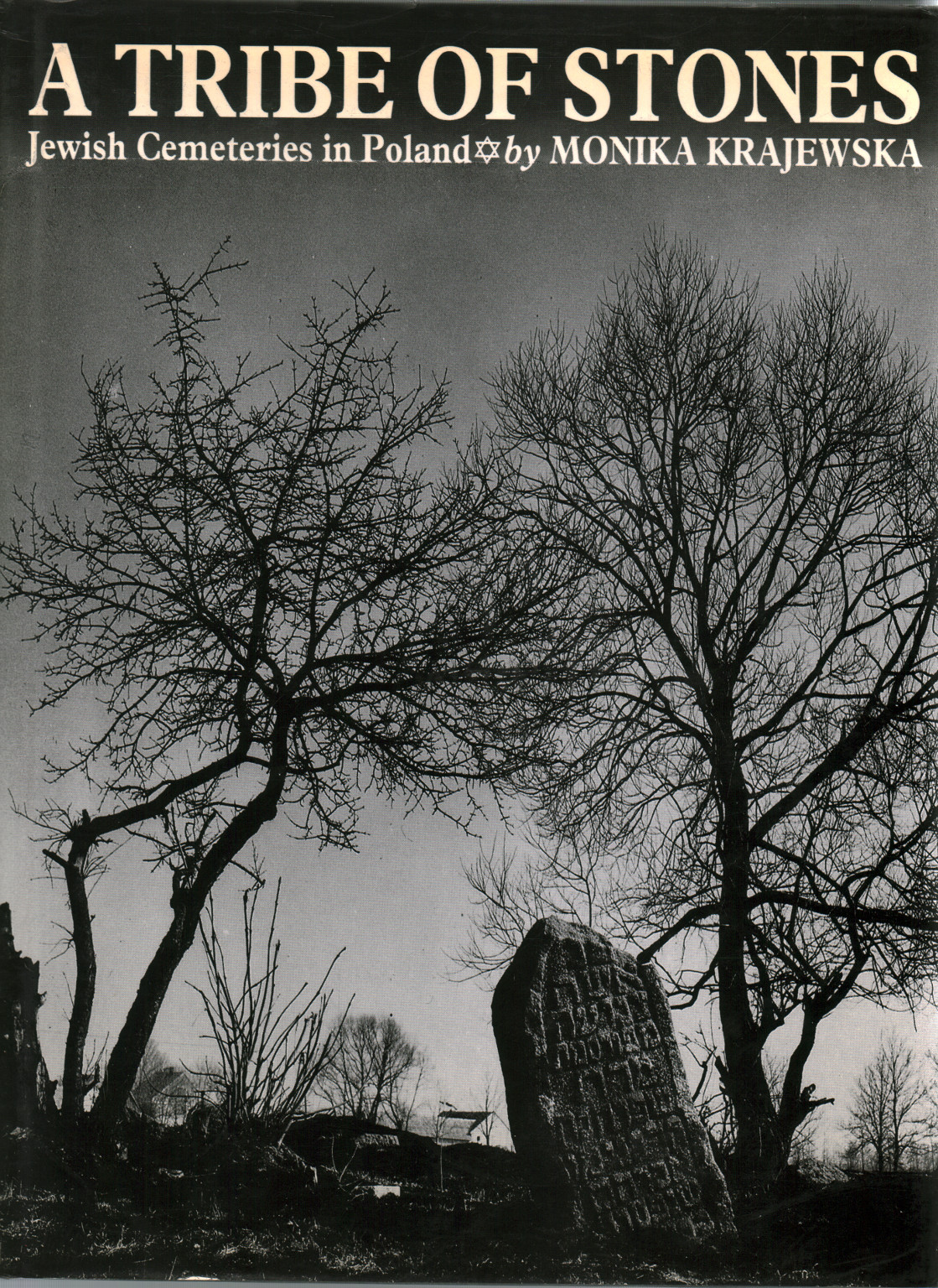 In tribue of stones jewish cemeteries in Poland, s.zu.