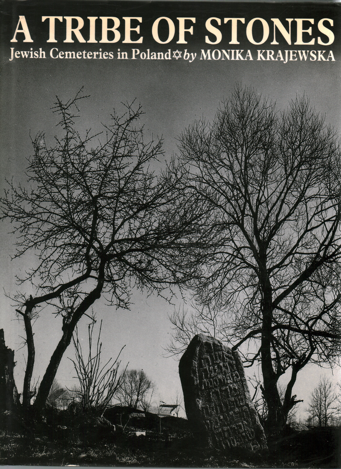 A tribue of stones jewish cemeteries in Poland, s.a.