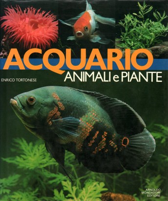 Acquario animali e piante