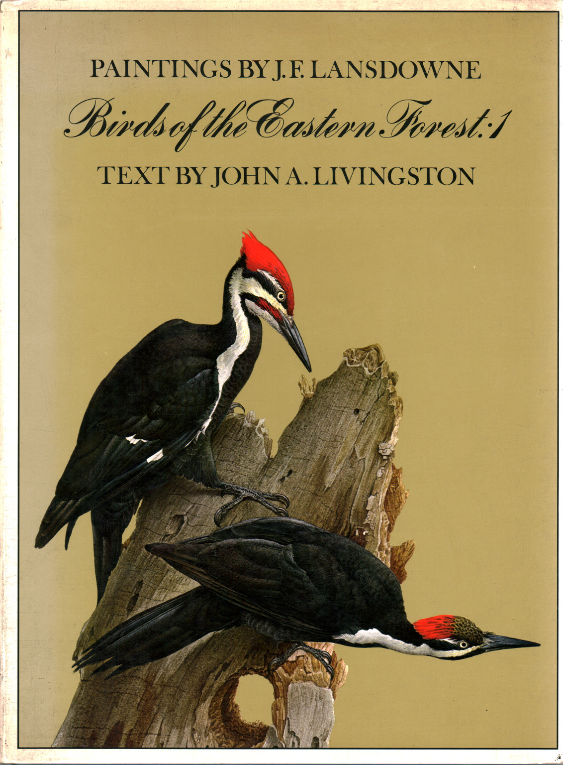 Birds of the Eastern Forest. Vol. 1, s.a.