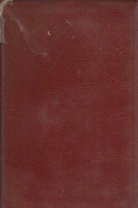 Romanzi e taccuini (4 volumi)