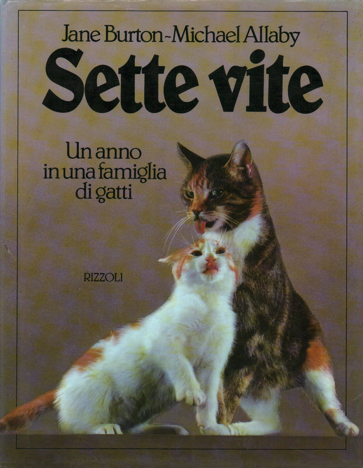 Sieben leben. Ein jahr in einer familie mit katzen, s.zu.