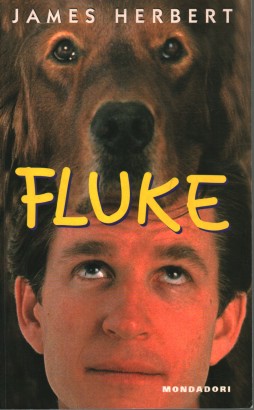 Fluke