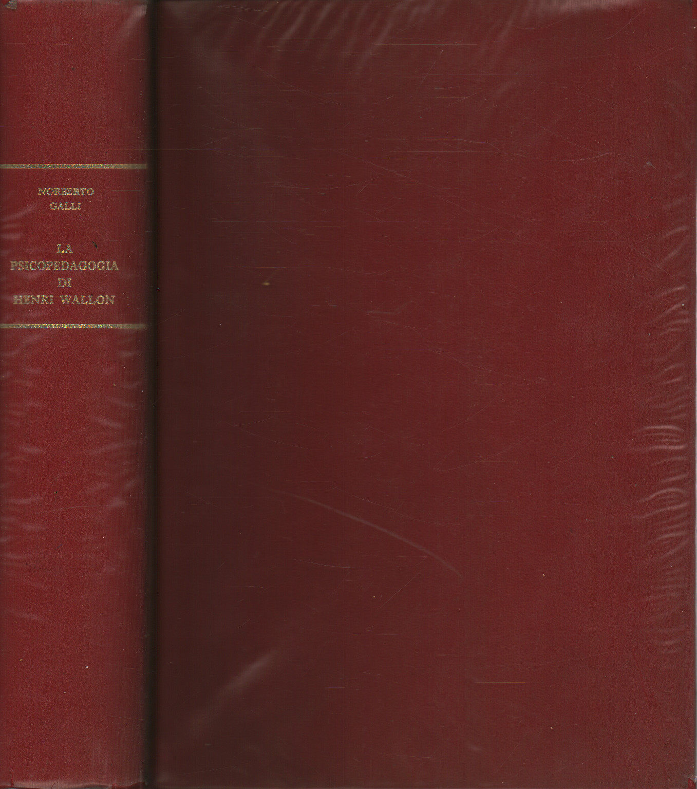 Die Psychopädagogik von Henri Wallon, s.a.