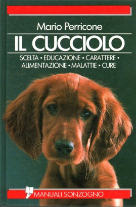 Il cucciolo