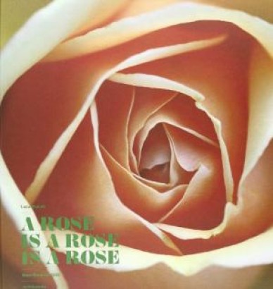 A rose is a rose is a rose