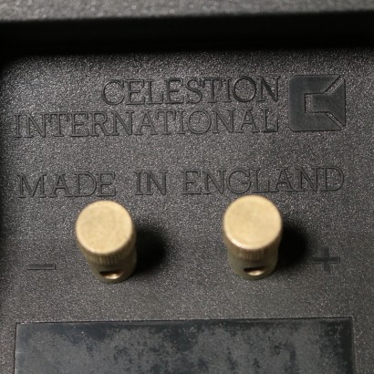 Celestion DL 8, casse acustiche