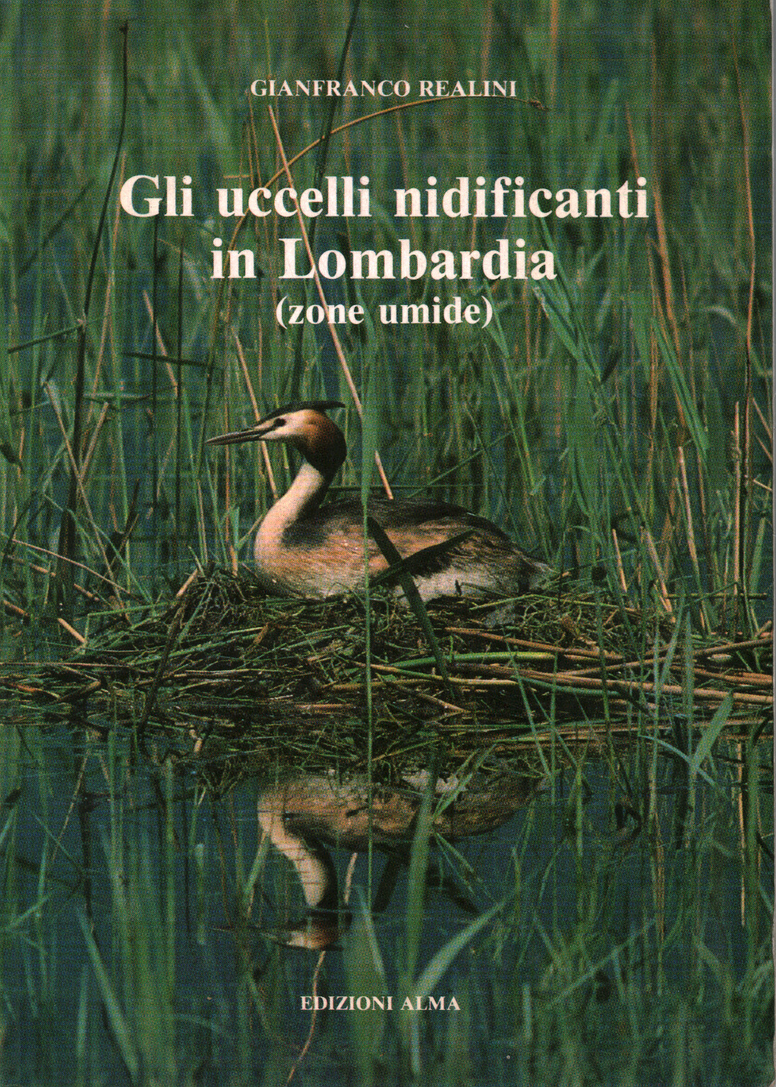 Les oiseaux nichaient dans la région de Lombardie (zones humides), s.un.