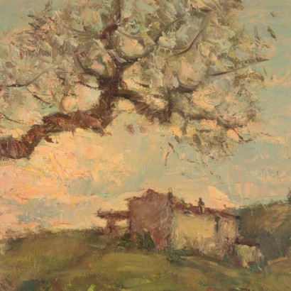 El paisaje de Alberto Cecconi