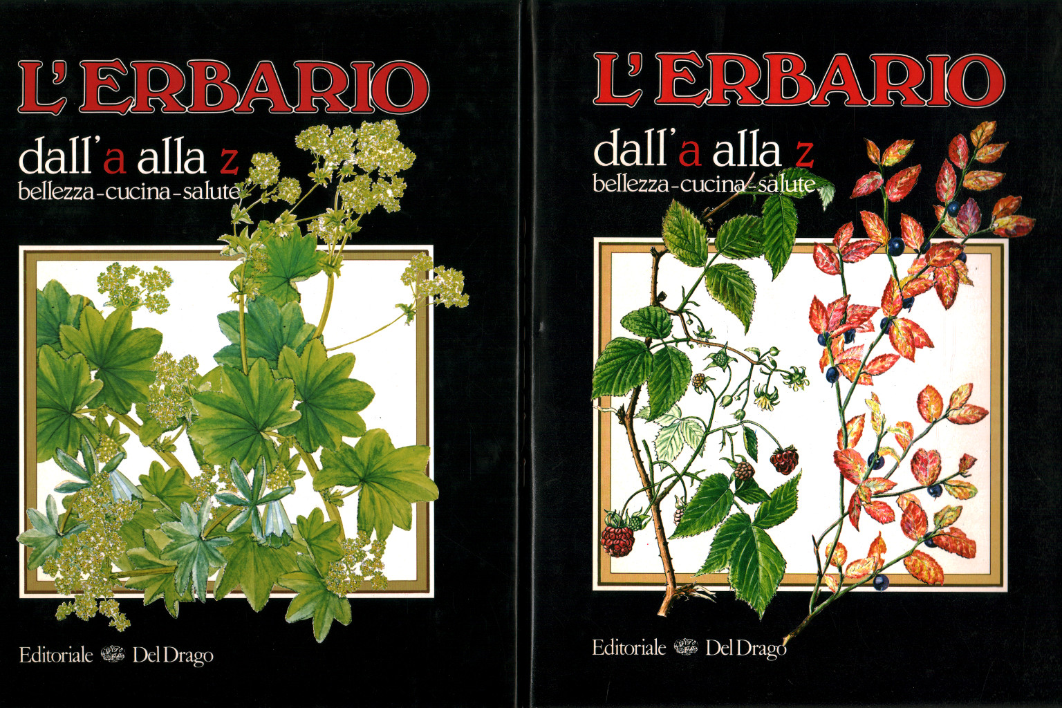 L'herbaio from a to z (2 Volumes), s.a.