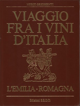 Viaggio fra i vini dell'Emilia e Romagna