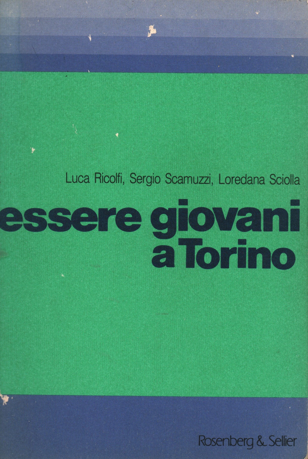 Essere giovani a Torino, Luca Ricolfi Sergio Scamuzzi Loredana Sciolla