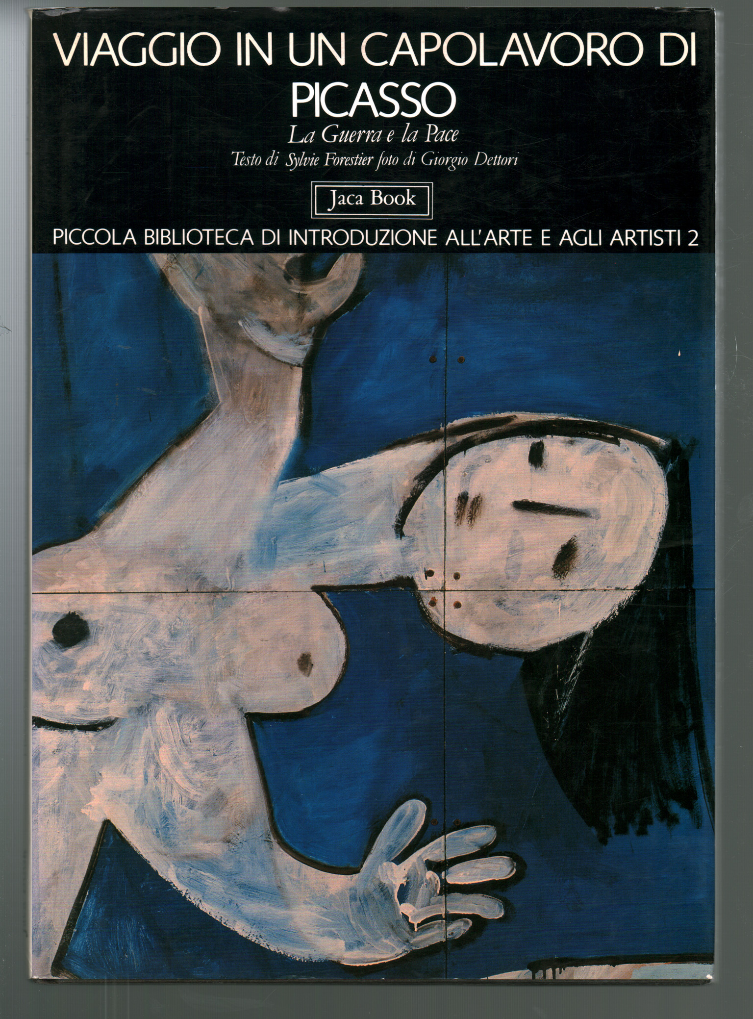 Viaje en una obra maestra de Picasso, Sylvie Forestier