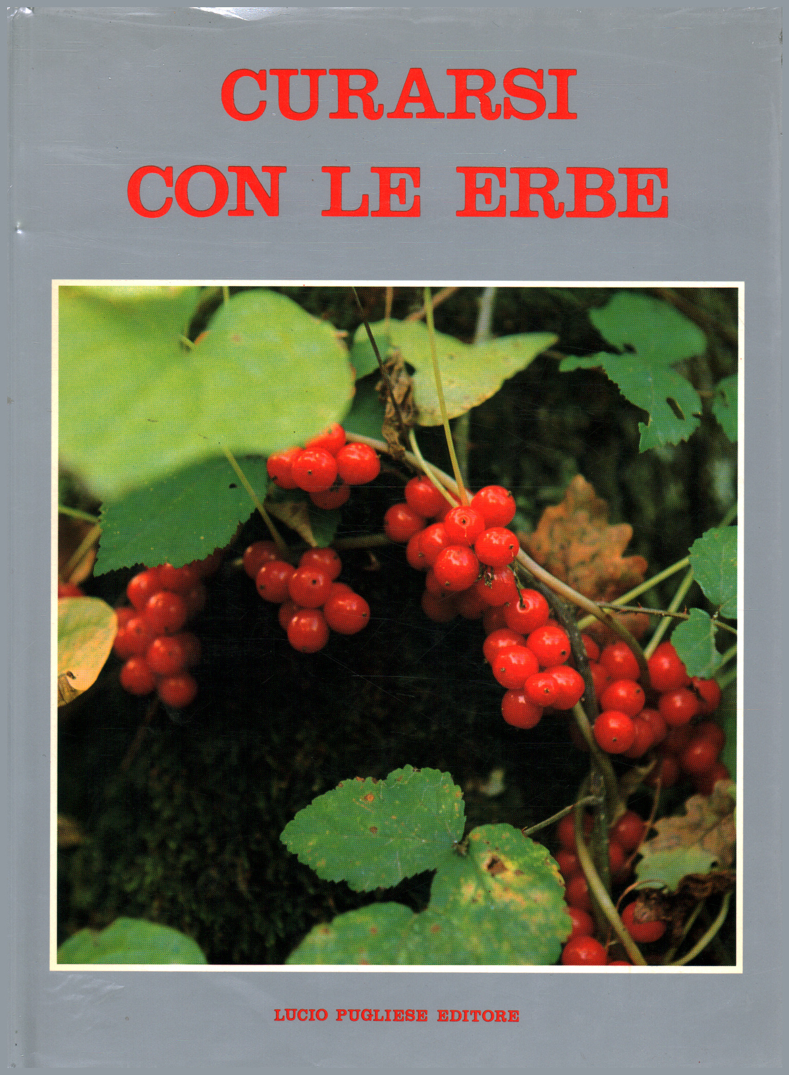 Curarsi con le erbe, s.a.