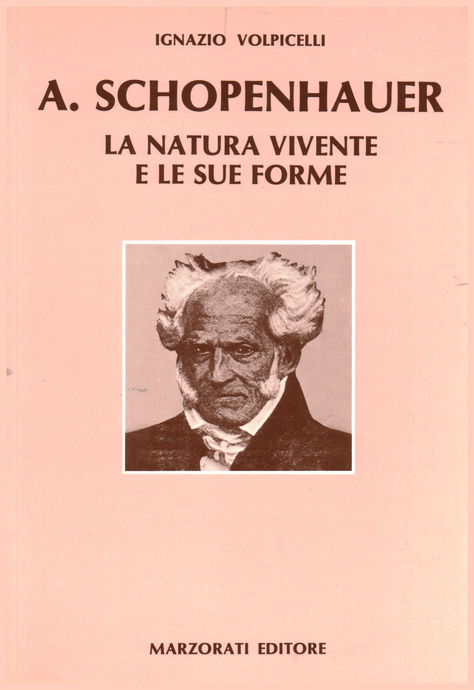 A. Schopenauer, Ignazio Volpicelli