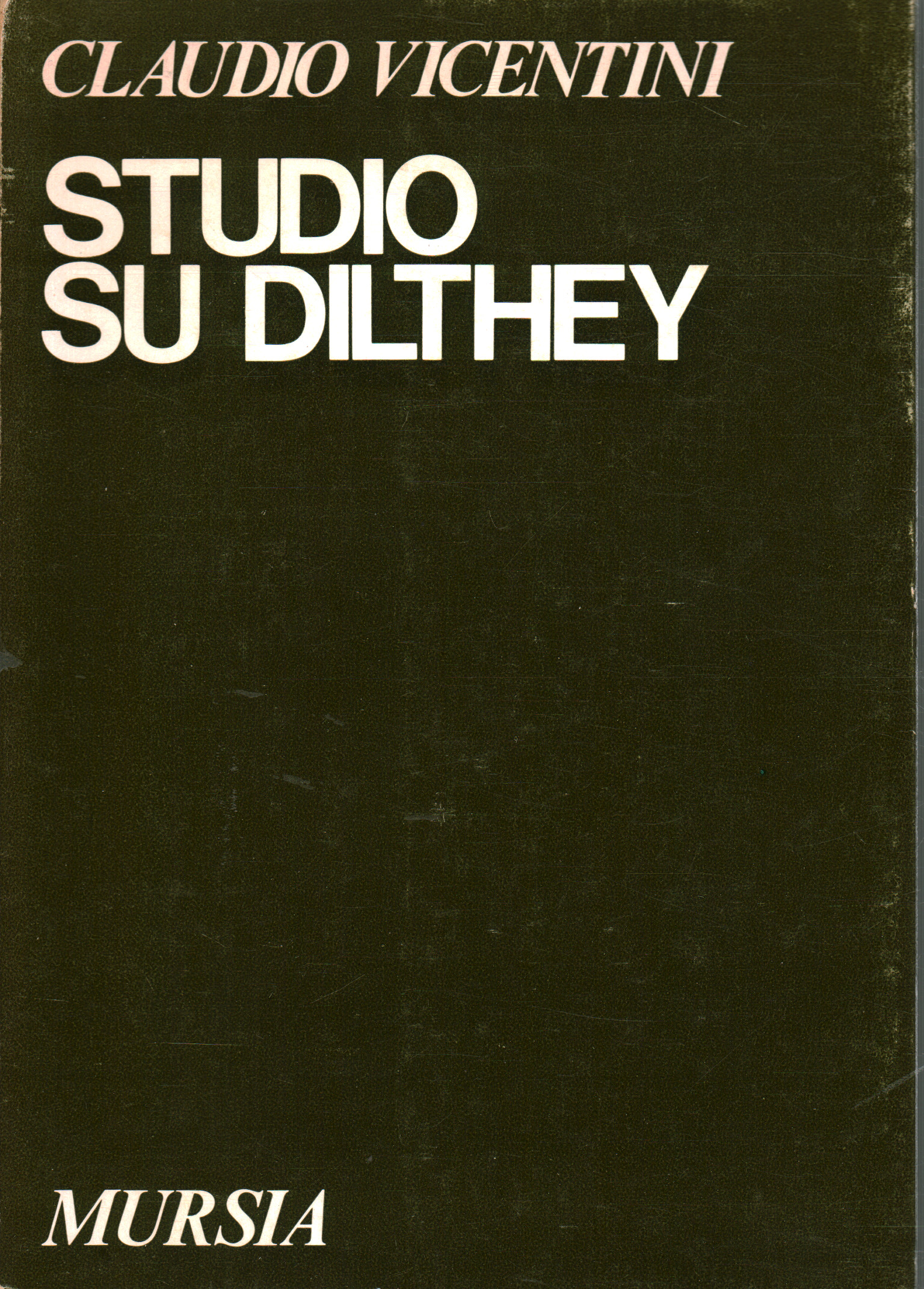 Studio su Dilthey, Claudio Vicentini