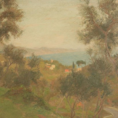 The landscape of Carlo Prada