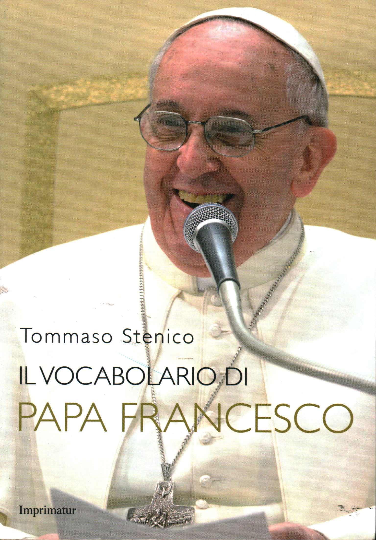 El vocabulario del Papa Francisco, Tommaso Stenico