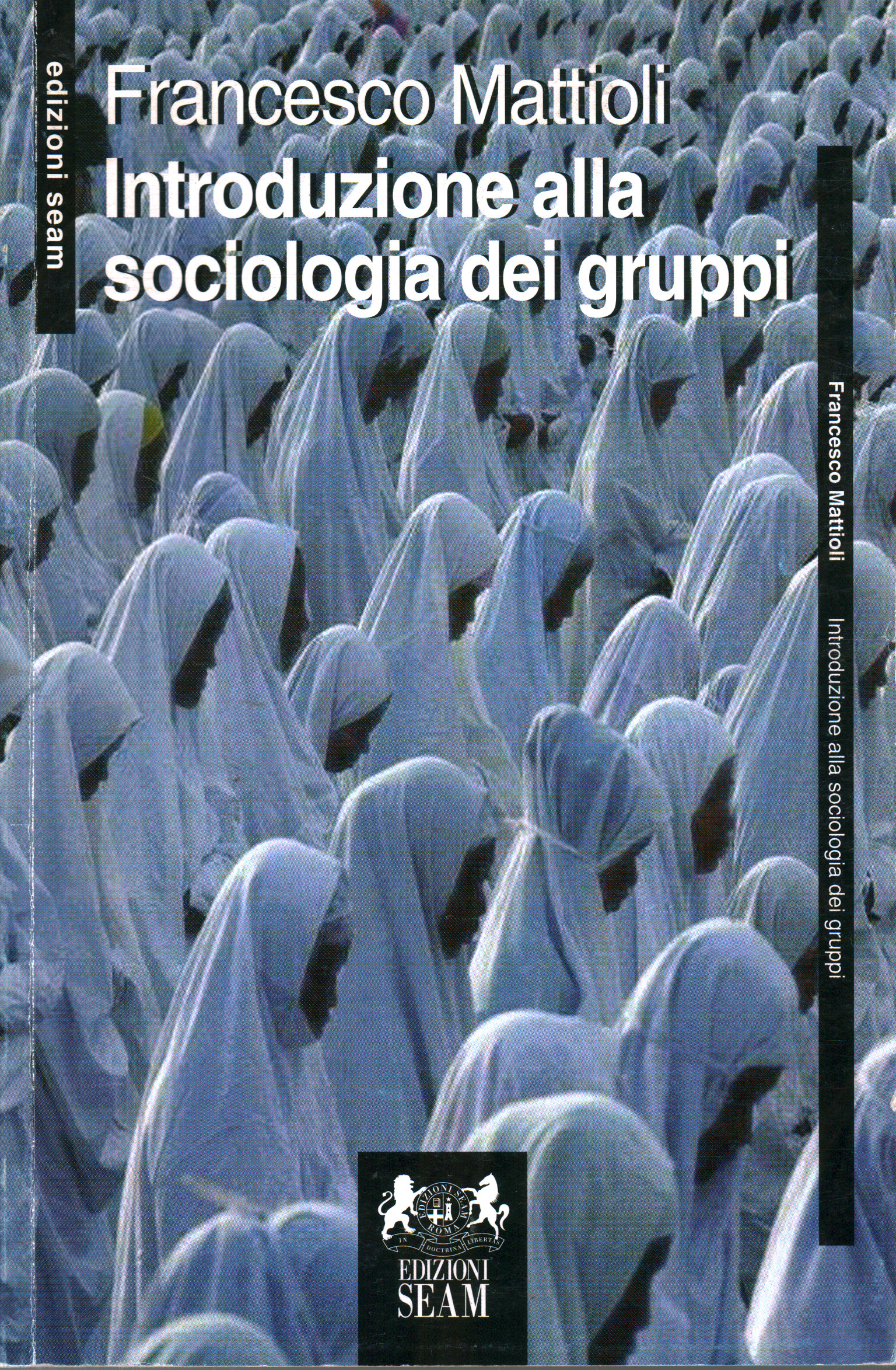 Introduzione alla sociologia dei gruppi, Francesco Mattioli
