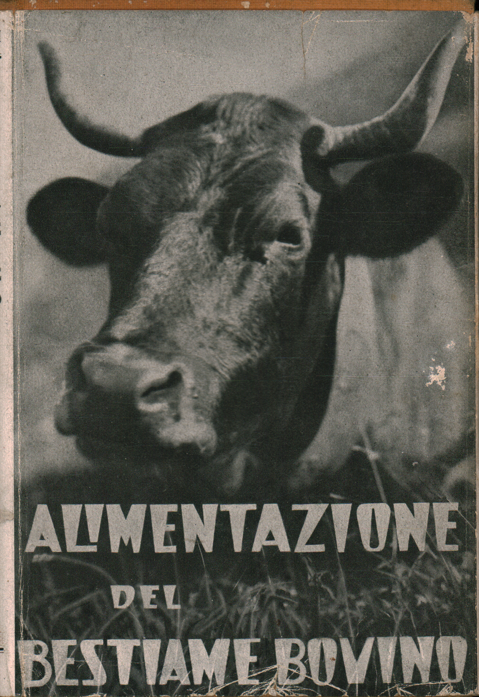 A balanced diet of dairy cattle, Telesforo Bonadonna