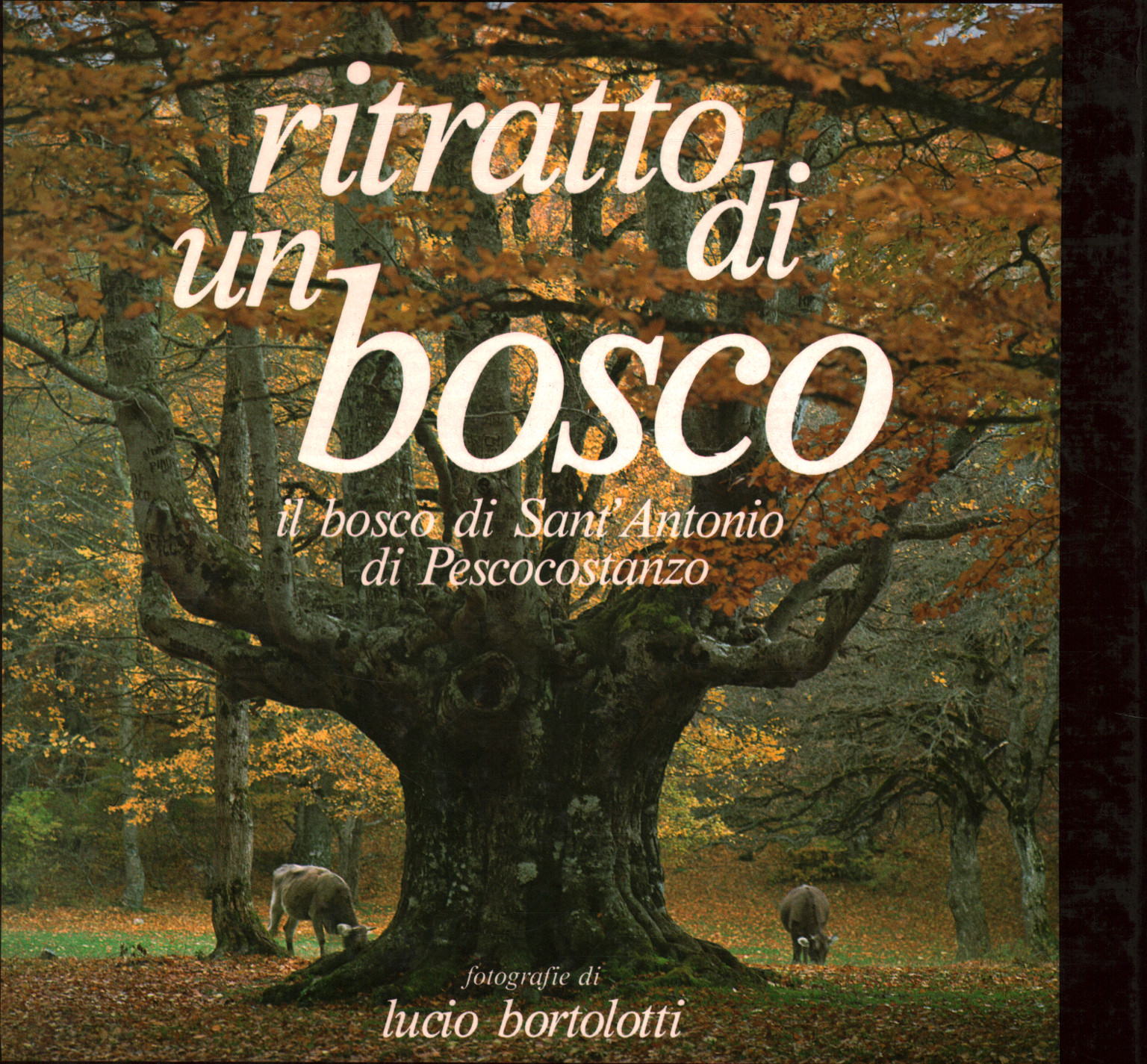 Ritratto di un bosco:il bosco di Sant Antonio di P, Francesco Sabatini Lucio Bortolotti