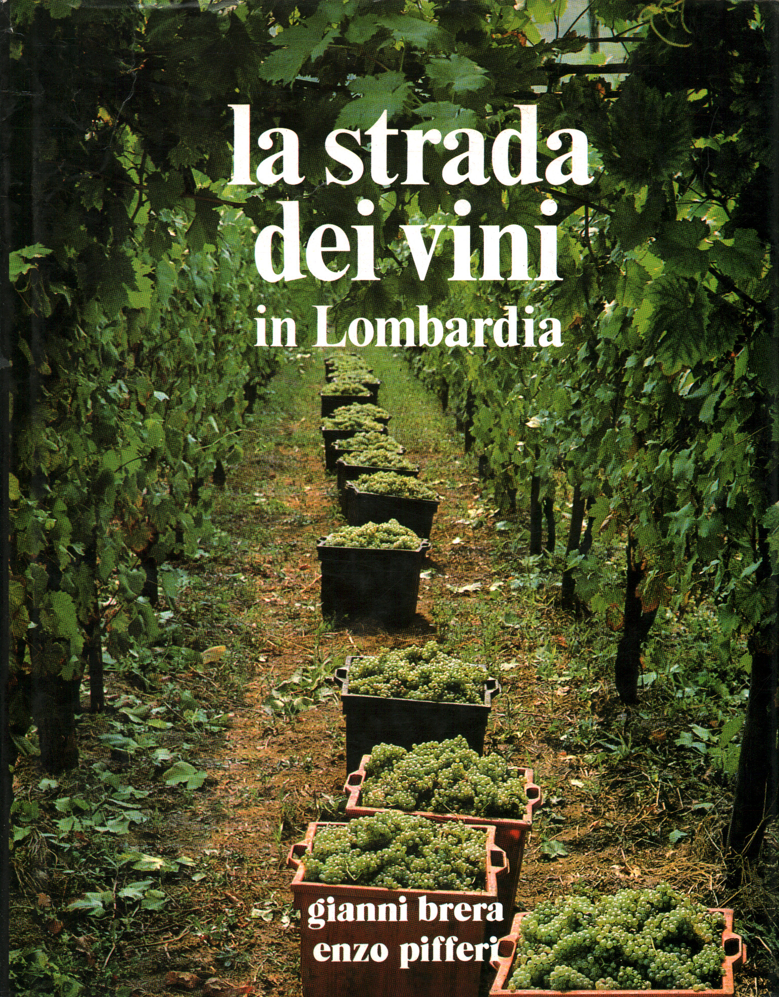The wine route in Lombardy, Laura Tettamanzi Enzo Pifferi