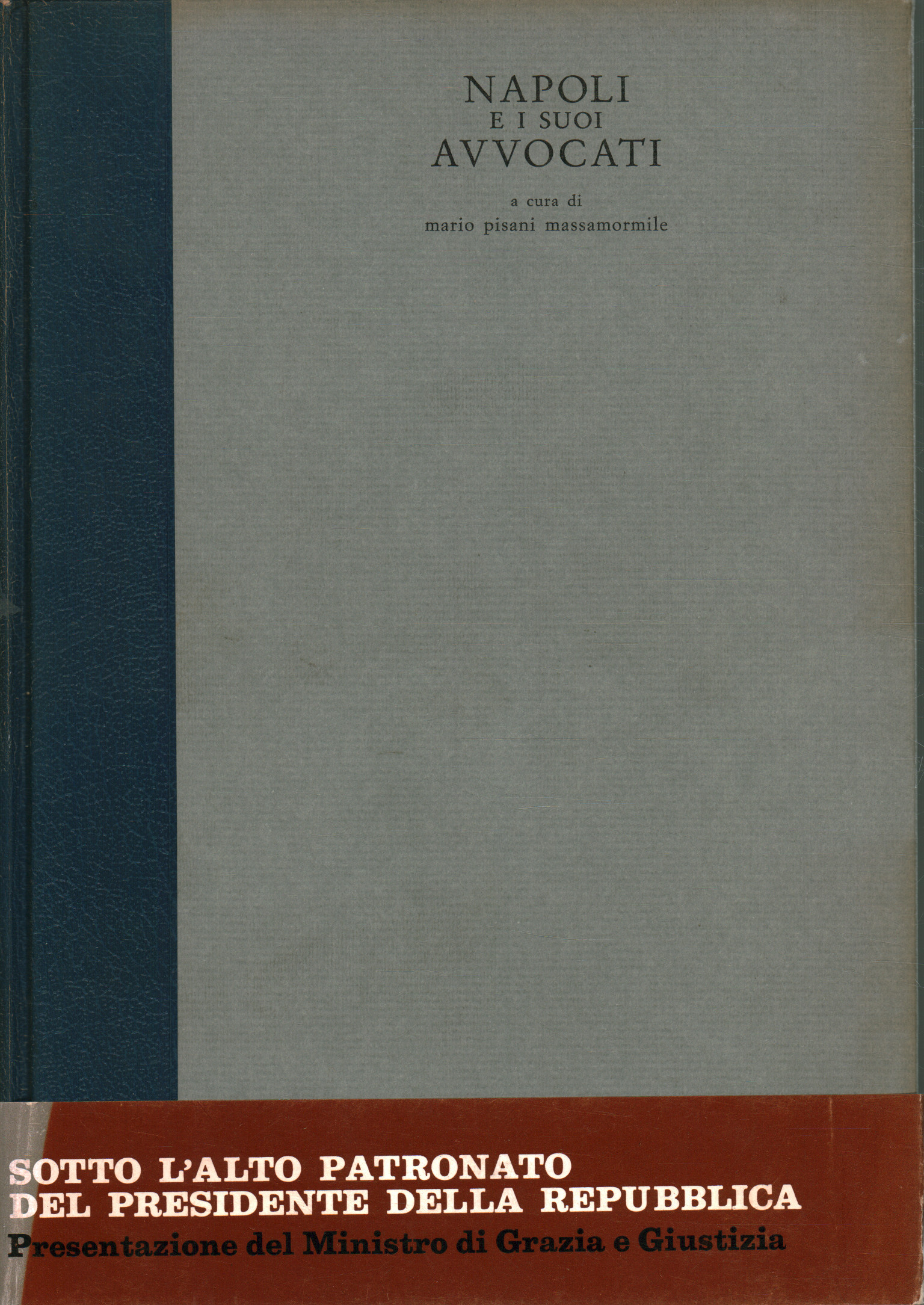 Naples and its lawyers, Mario Pisani Massamormile