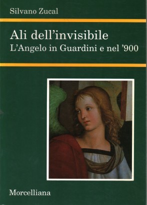 Ali dell'invisibile