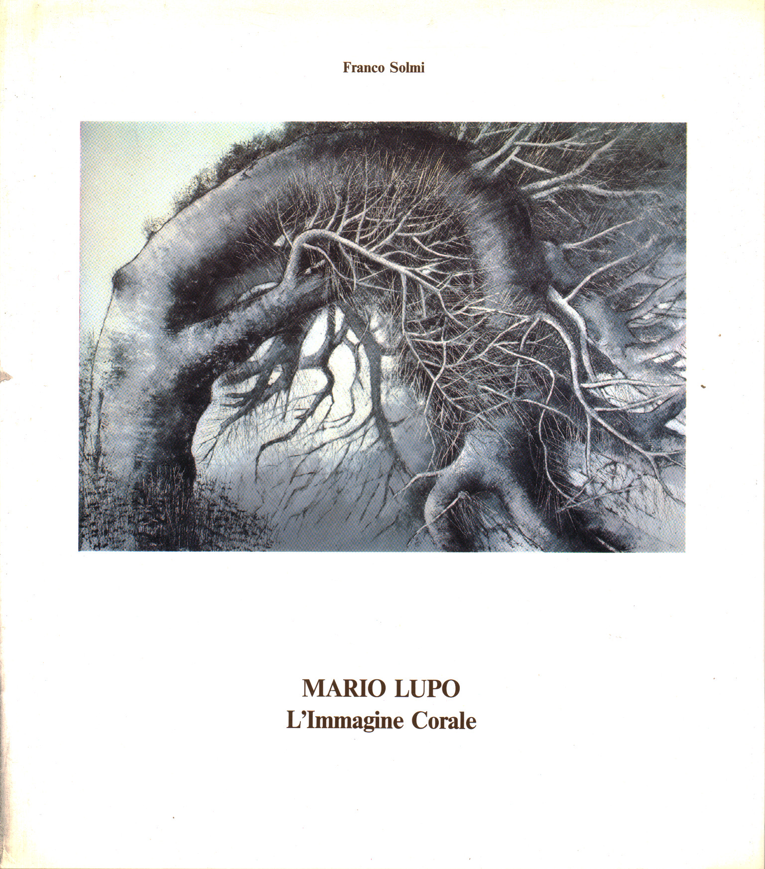 Mario Lupo - Das Chorbild / L'Image Chorale, Franco Solmi