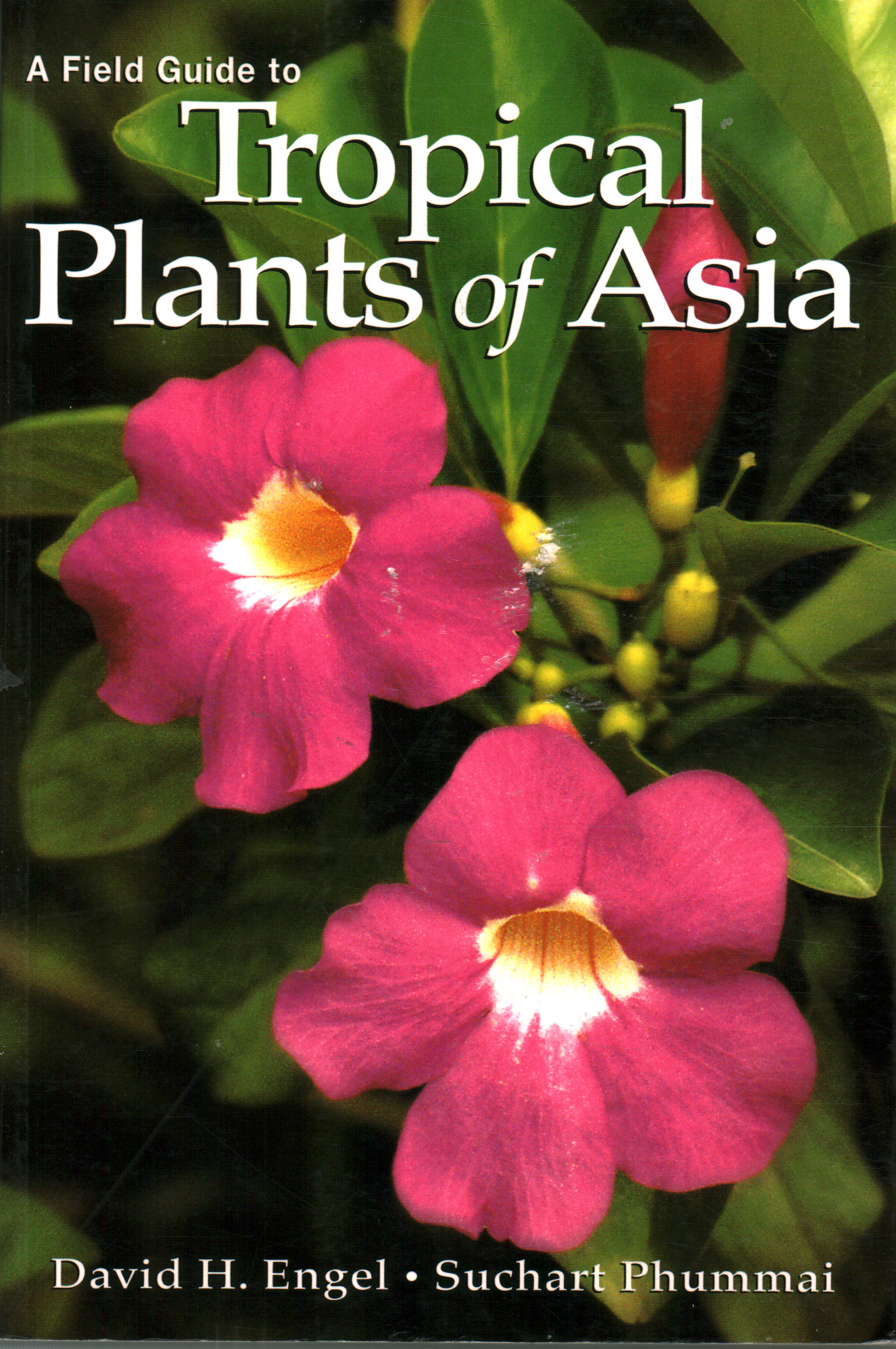A field guide to tropical plants of Asia, David H. Engel Suchart Phummai