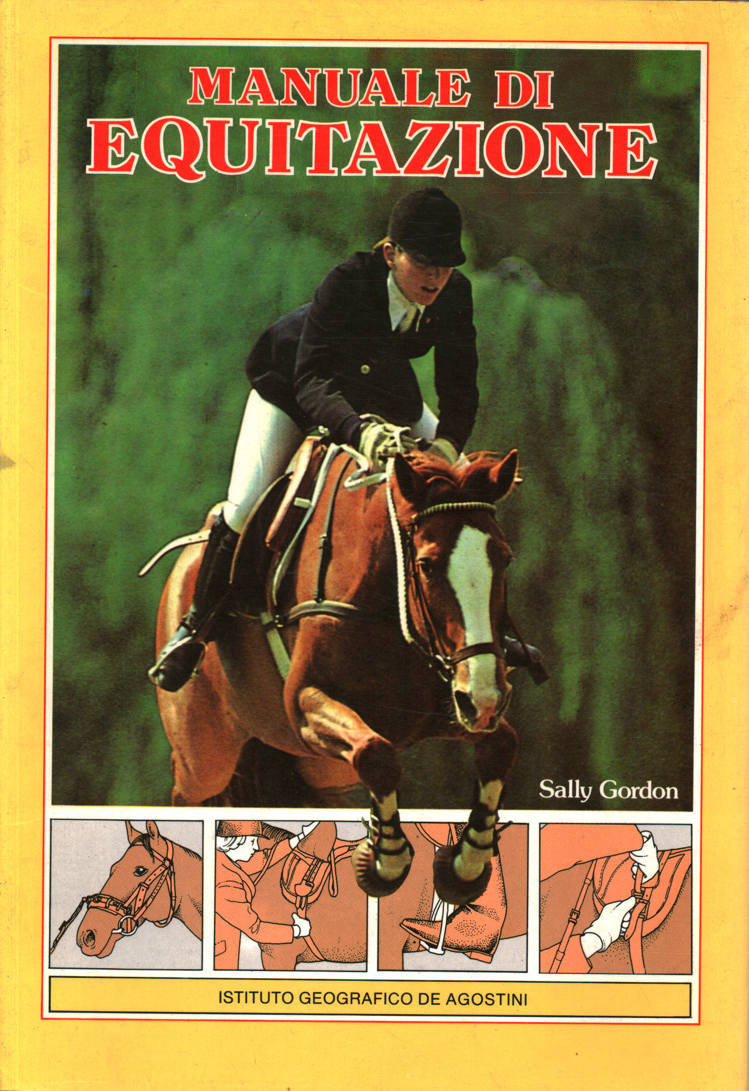 Manuale di equitazione, Sally Gordon