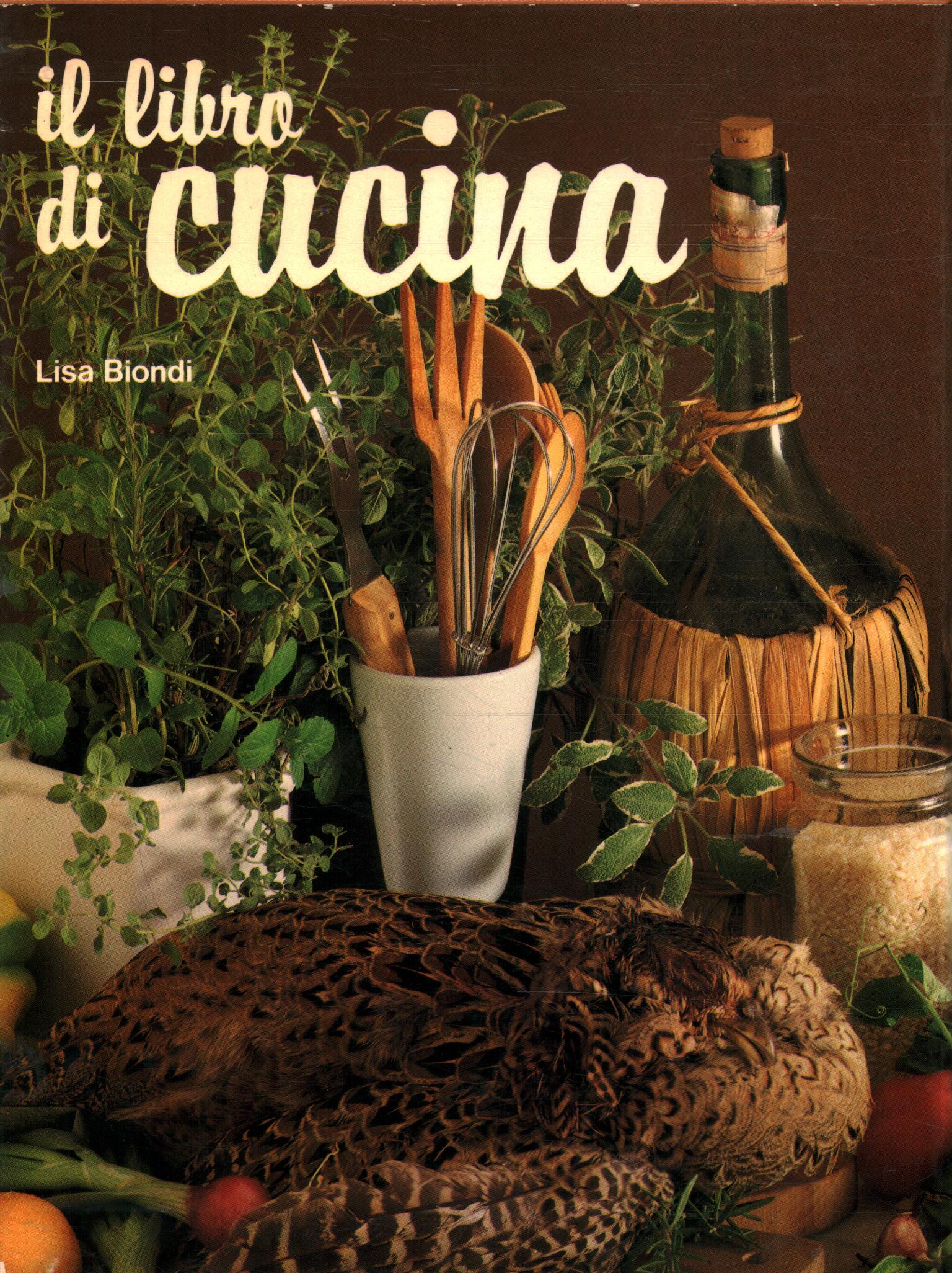 The cookbook, Lisa Biondi