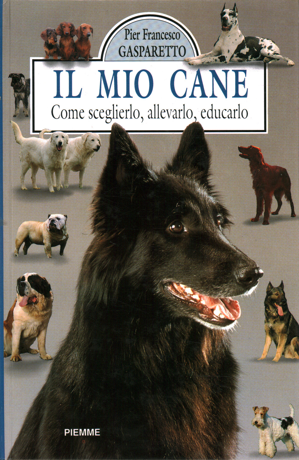 Il mio cane, Pier Francesco Gasparetto