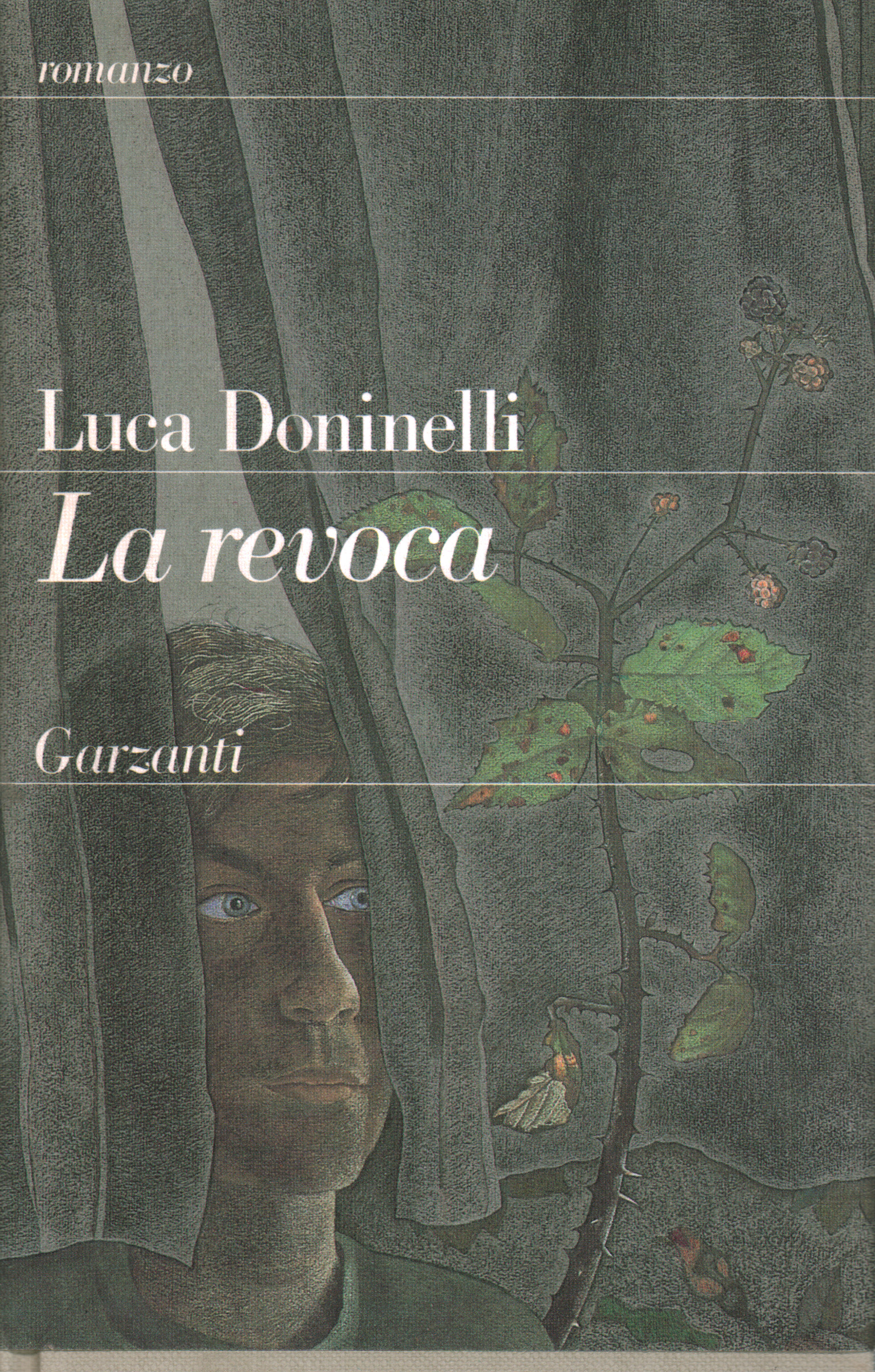 La revoca, Luca Doninelli
