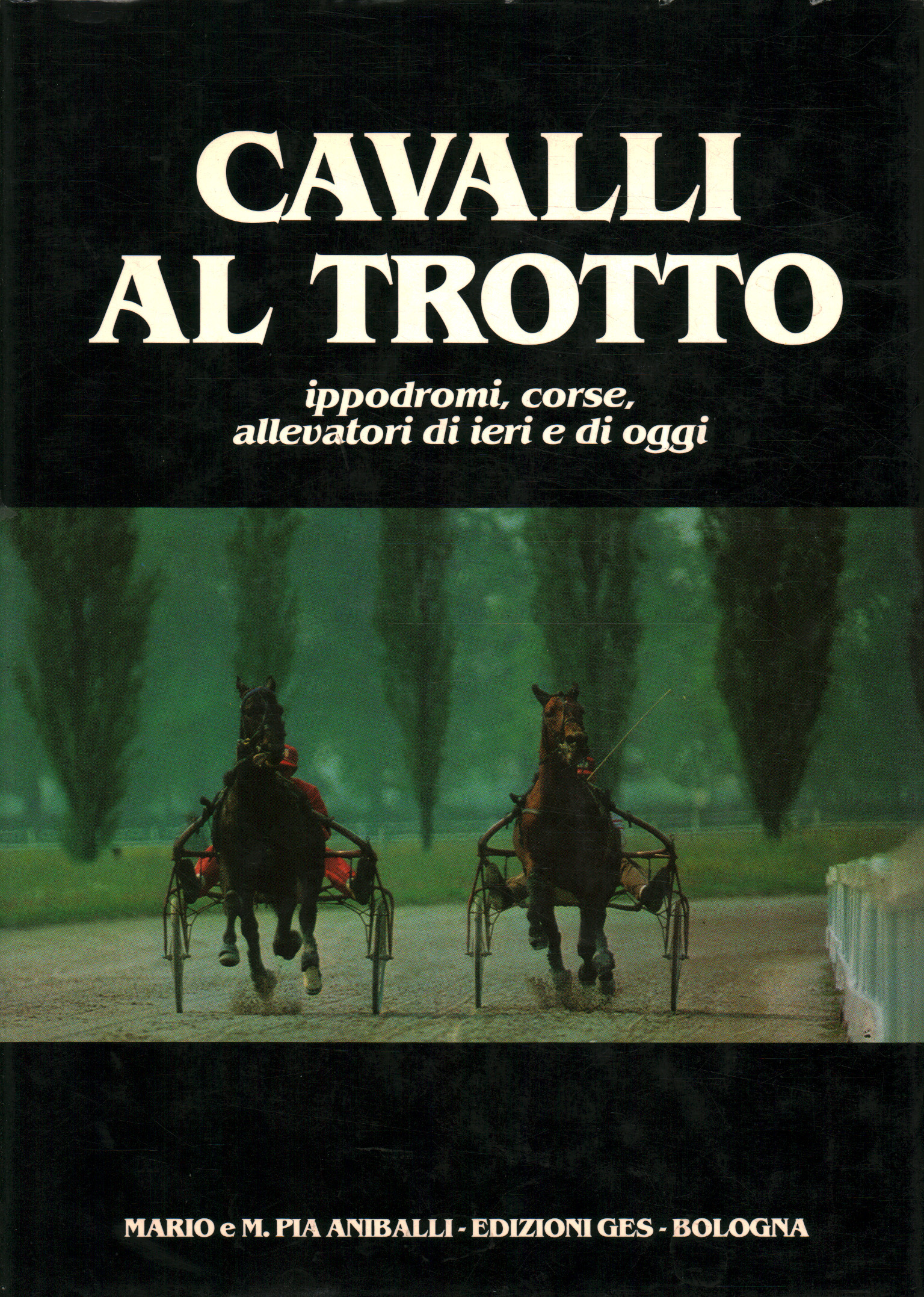 Caballos al trote