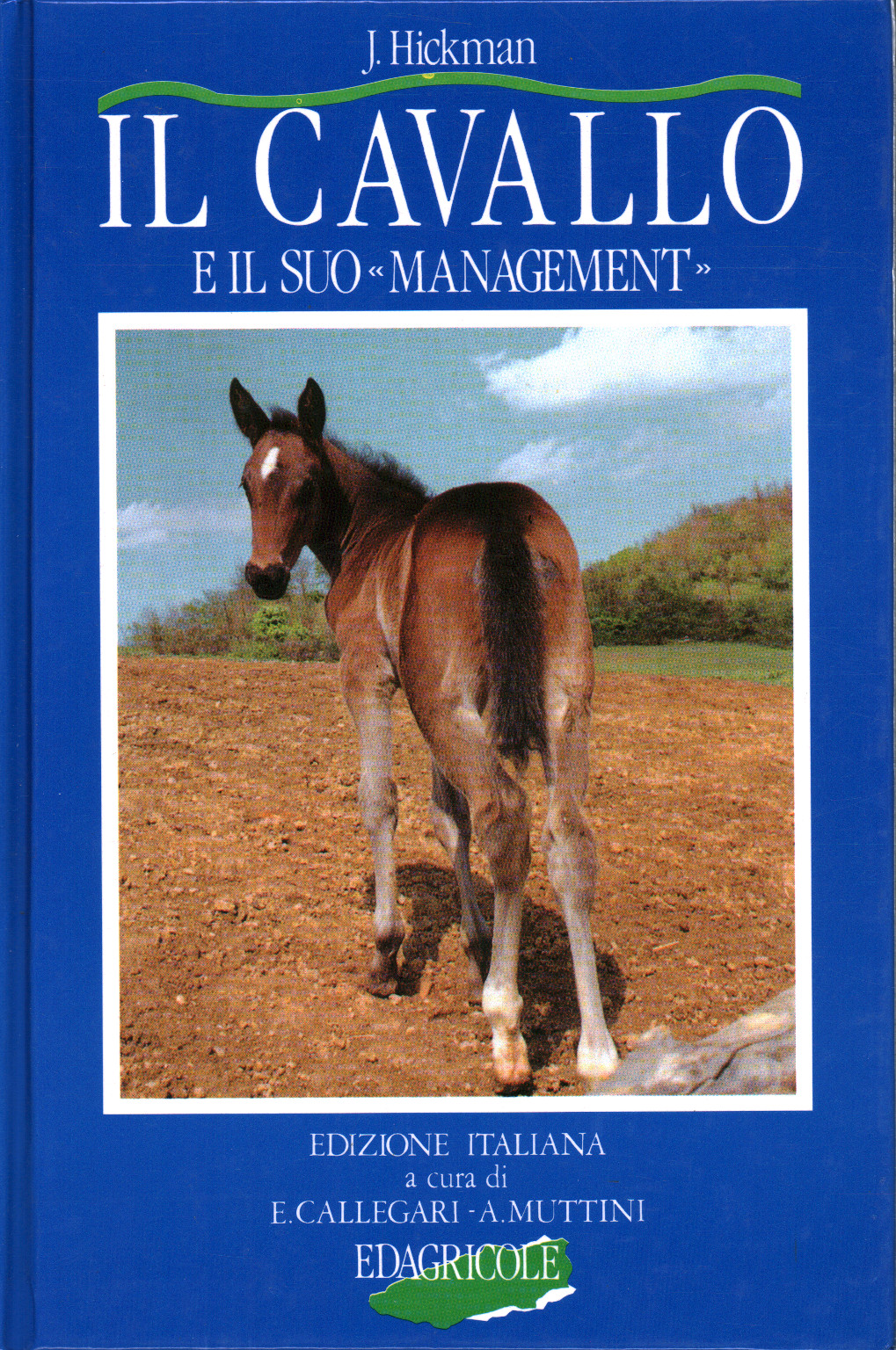 Le cheval et sa «gestion», s.a.