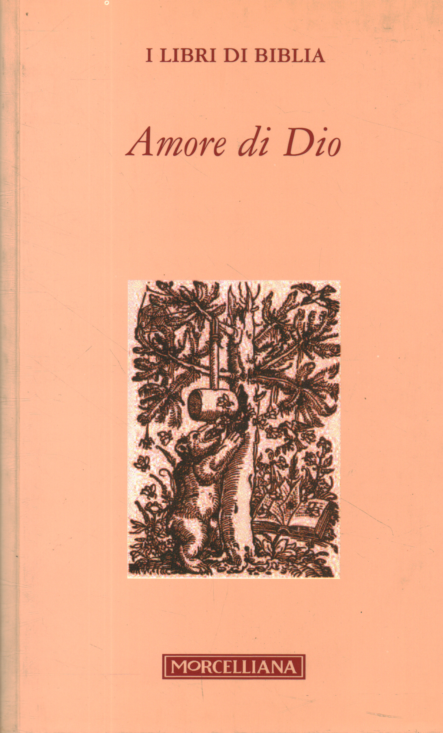 Amor de Dios, Piero Stefani
