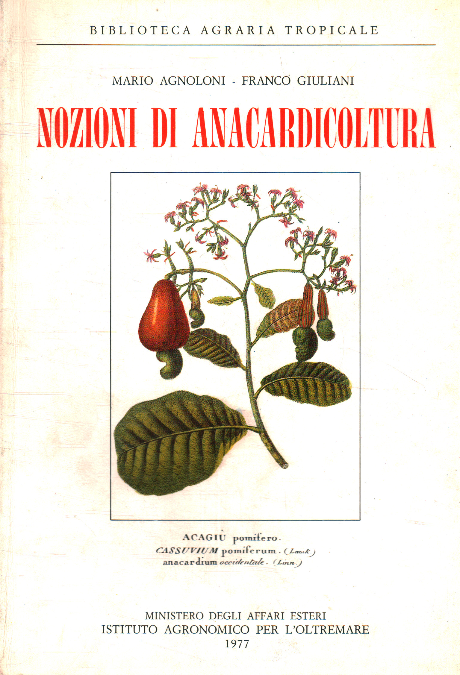 Notions of Cashew Farming, Mario Agnoloni Franco Giuliani