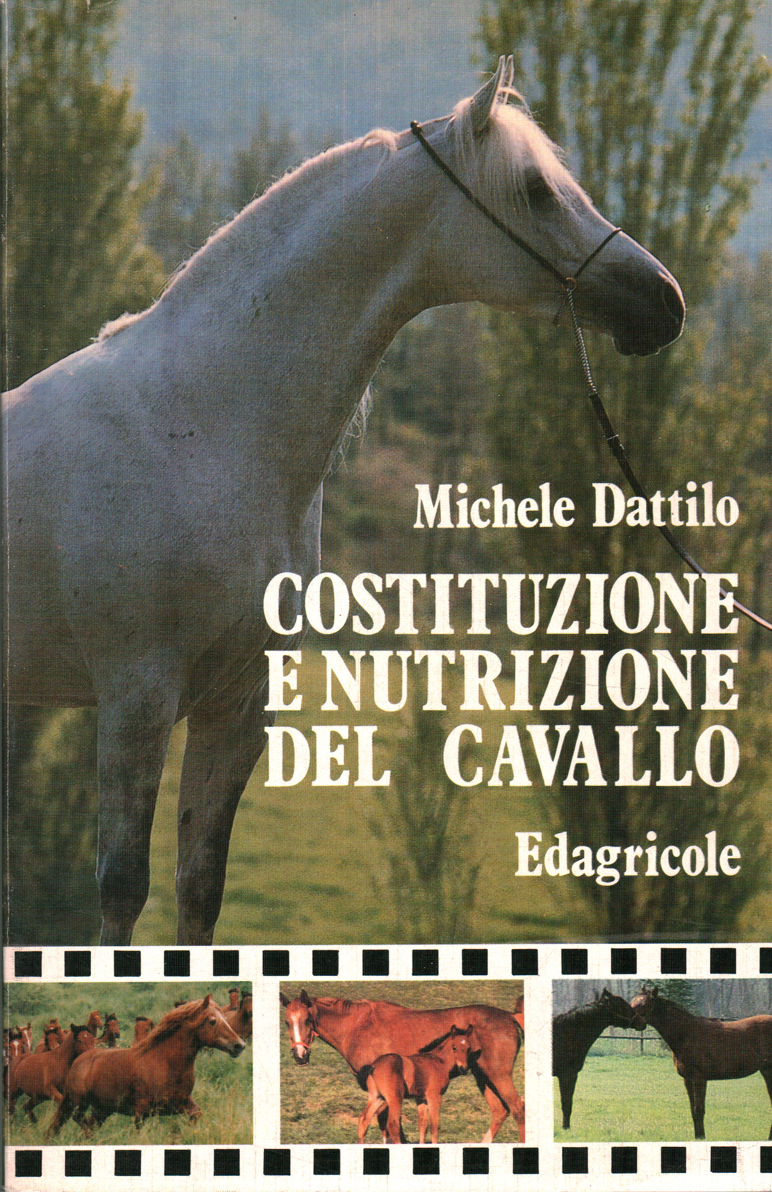 Costituzione e nutrizione del cavallo, Michele Dattilo