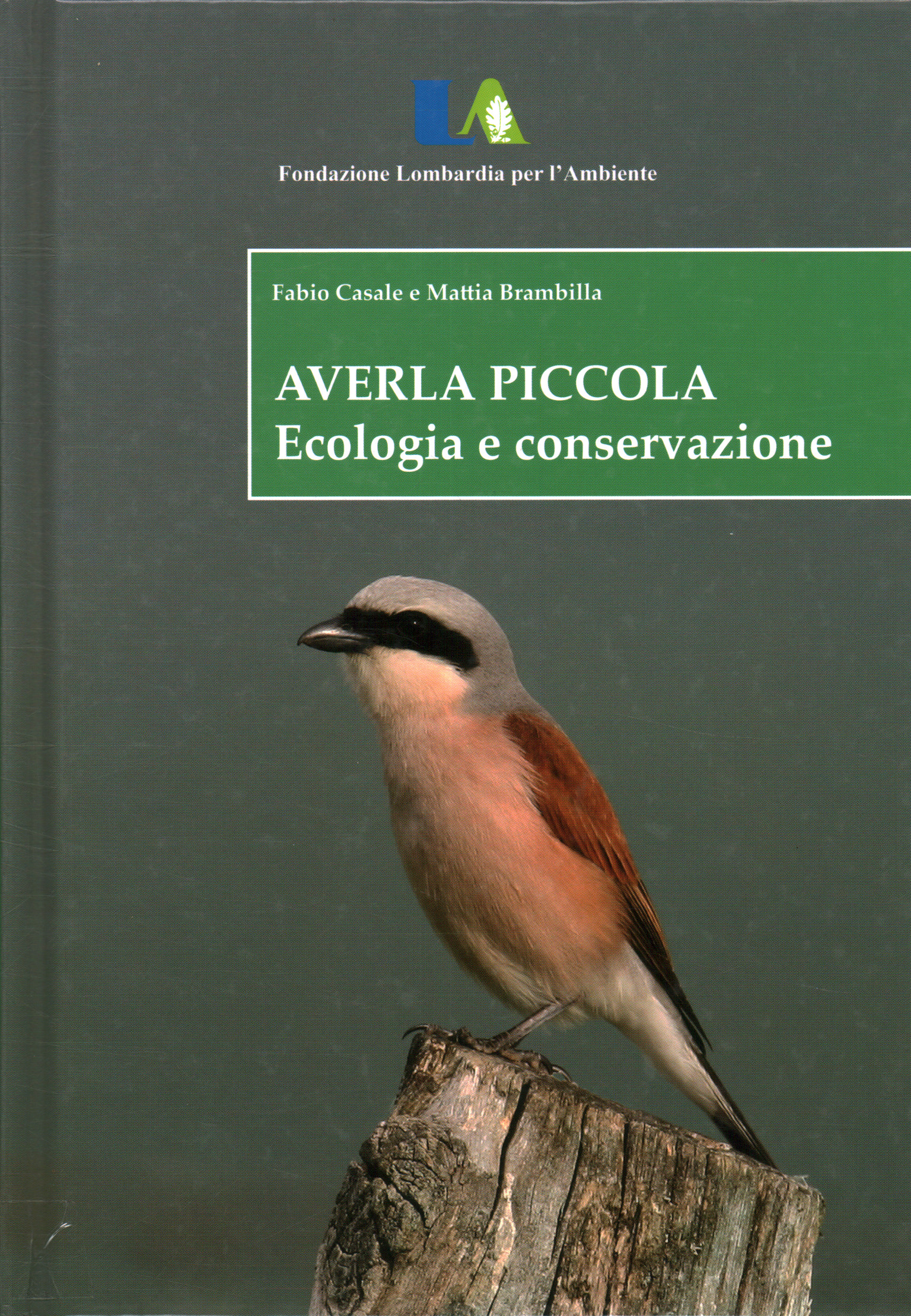 Que sea pequeño. Ecología y conservación, Fabio Casale Mattia Brambilla