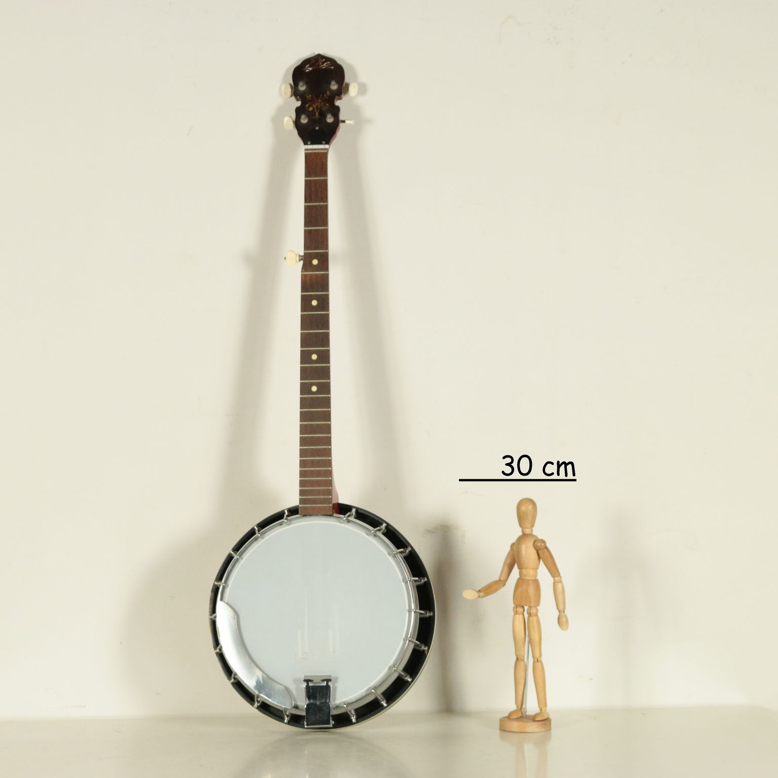 Eko banjo shop