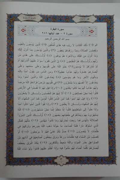 Il Corano (2 volumi). Vol. 1: Testo arabo con la versione