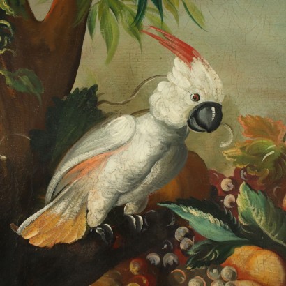 Still life with fruit and parrots