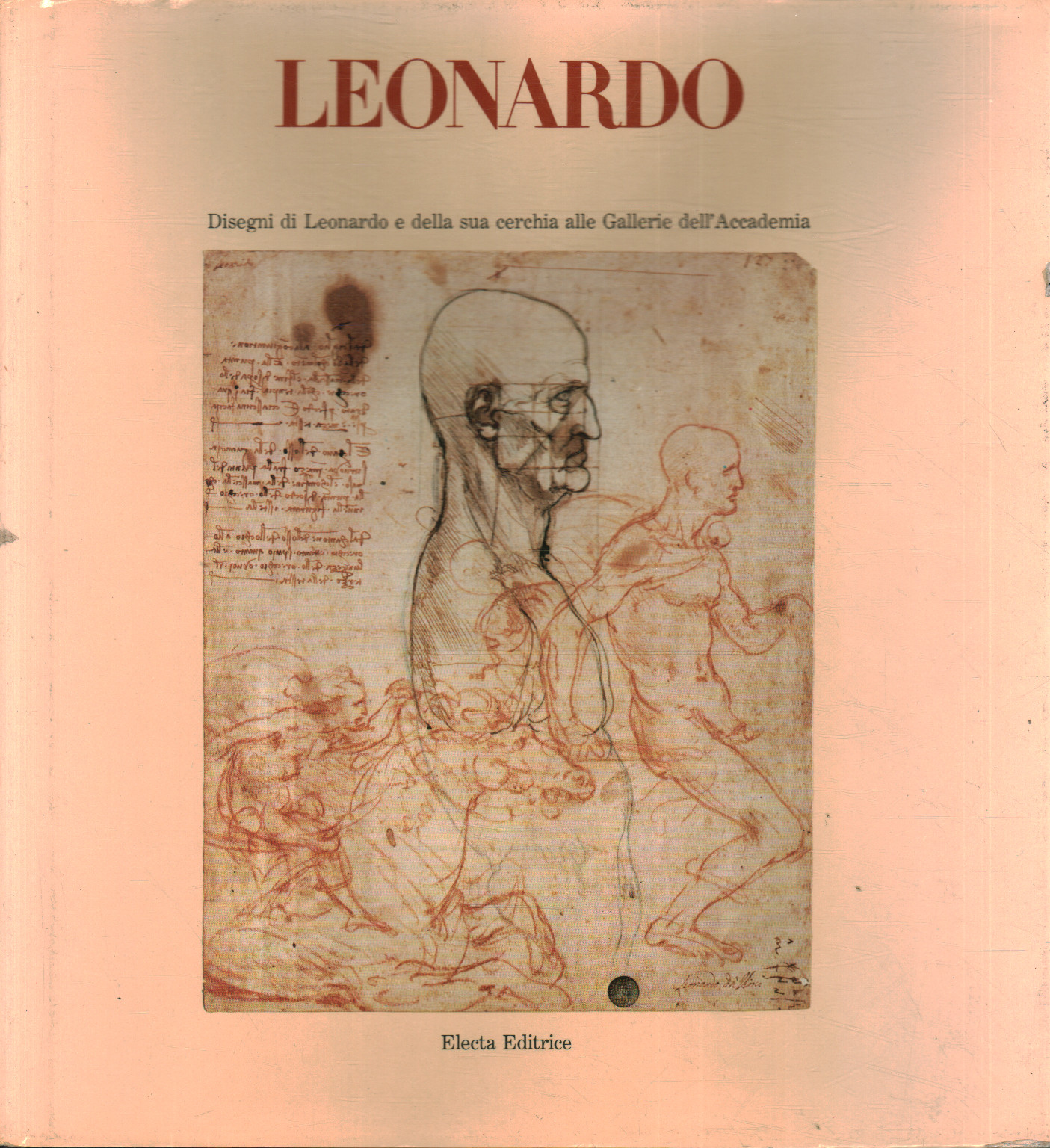 Leonardo, Luisa Cogliati Arano