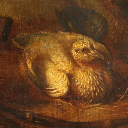 Live Nature With Birds in a Nest Oil On Canvas 18th Century