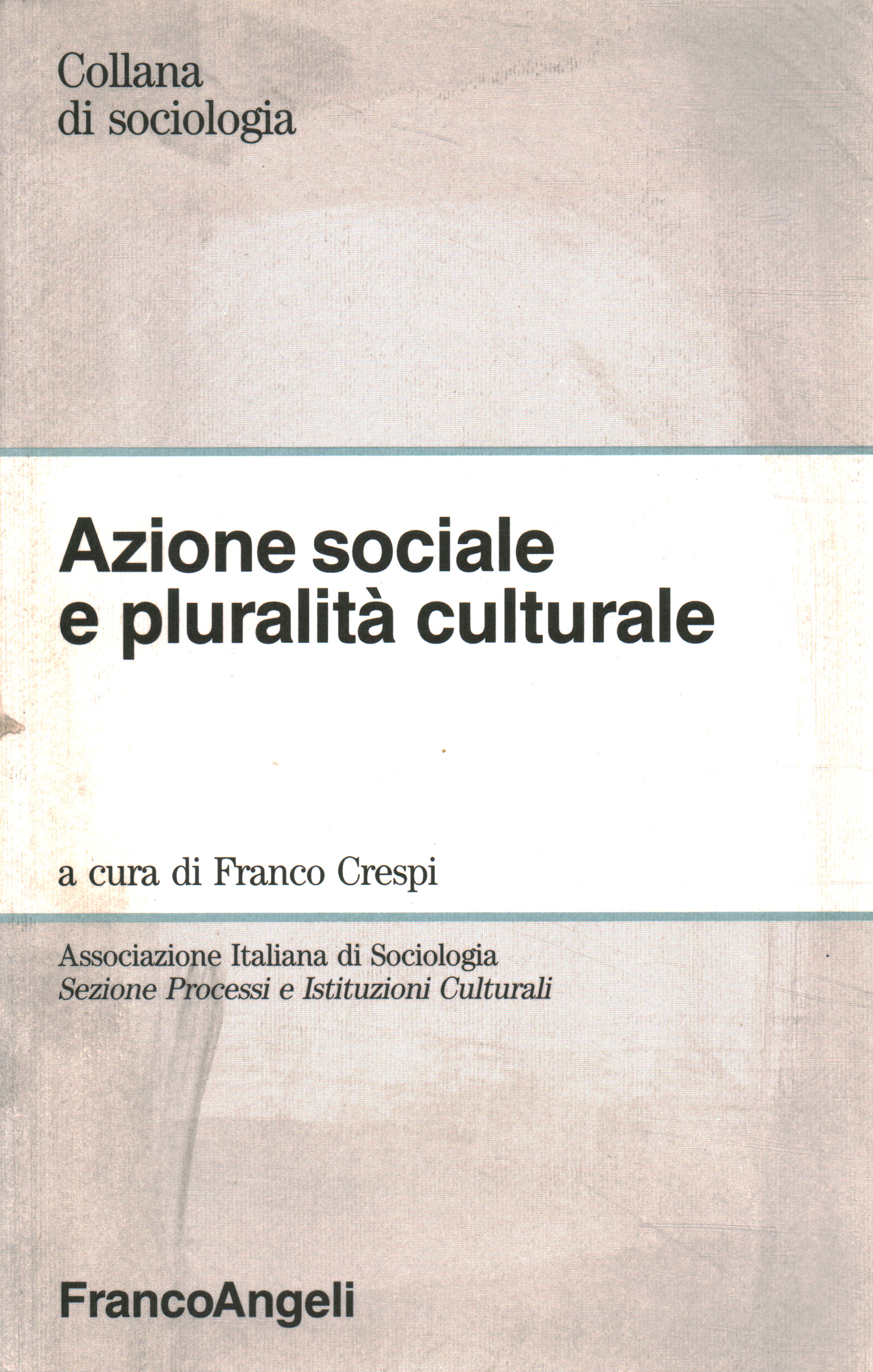 Azione sociale e pluralità cutlurale