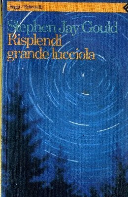 Brilla gran luciérnaga