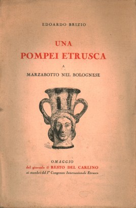 Una Pompei etrusca a Marzabotto nel Bolognese