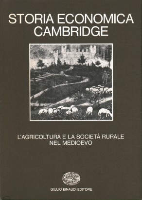 Cambridge Wirtschaftsgeschichte (Band 1)